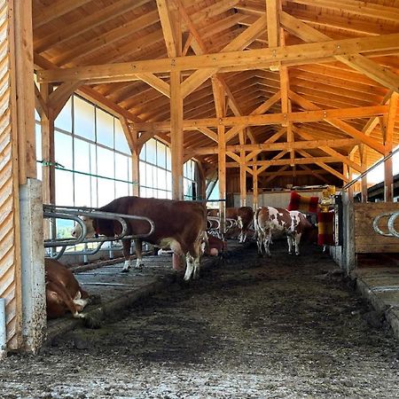 Landgasthof Blasini - Pfahlhof Zandt Kültér fotó