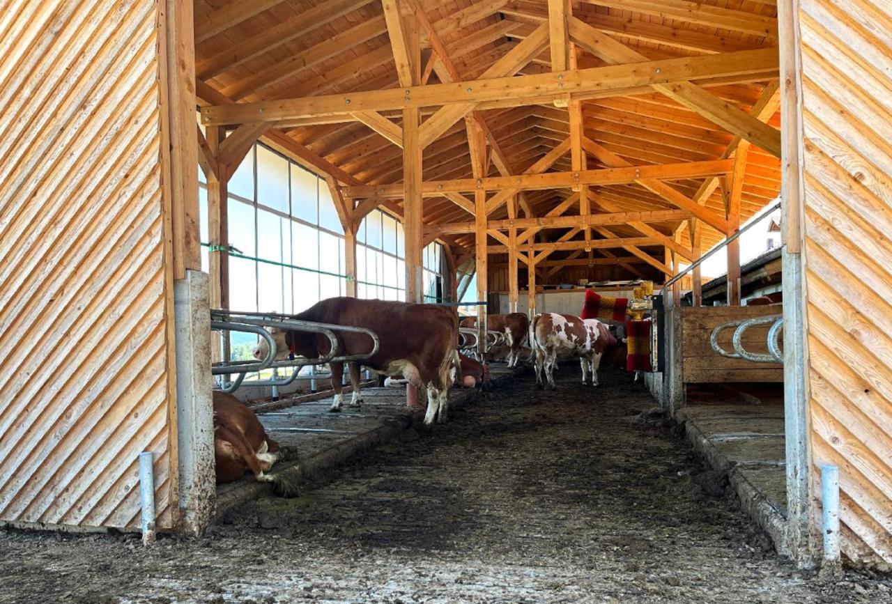 Landgasthof Blasini - Pfahlhof Zandt Kültér fotó