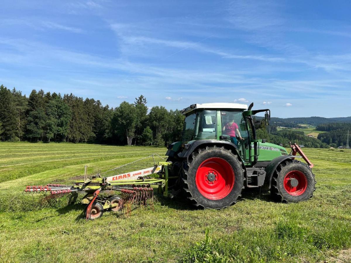 Landgasthof Blasini - Pfahlhof Zandt Kültér fotó