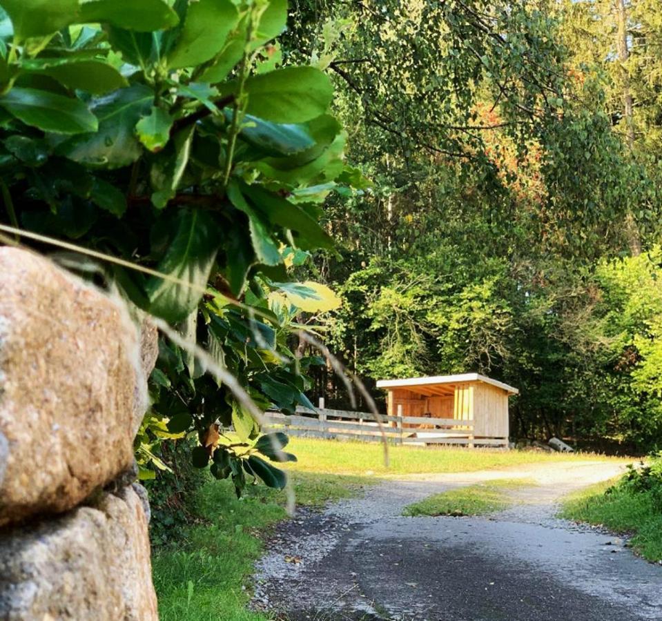 Landgasthof Blasini - Pfahlhof Zandt Kültér fotó
