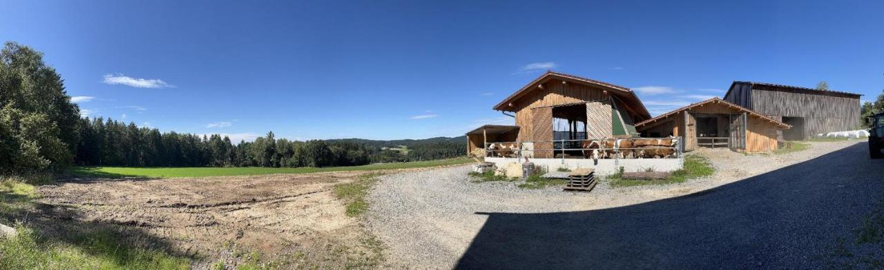 Landgasthof Blasini - Pfahlhof Zandt Kültér fotó