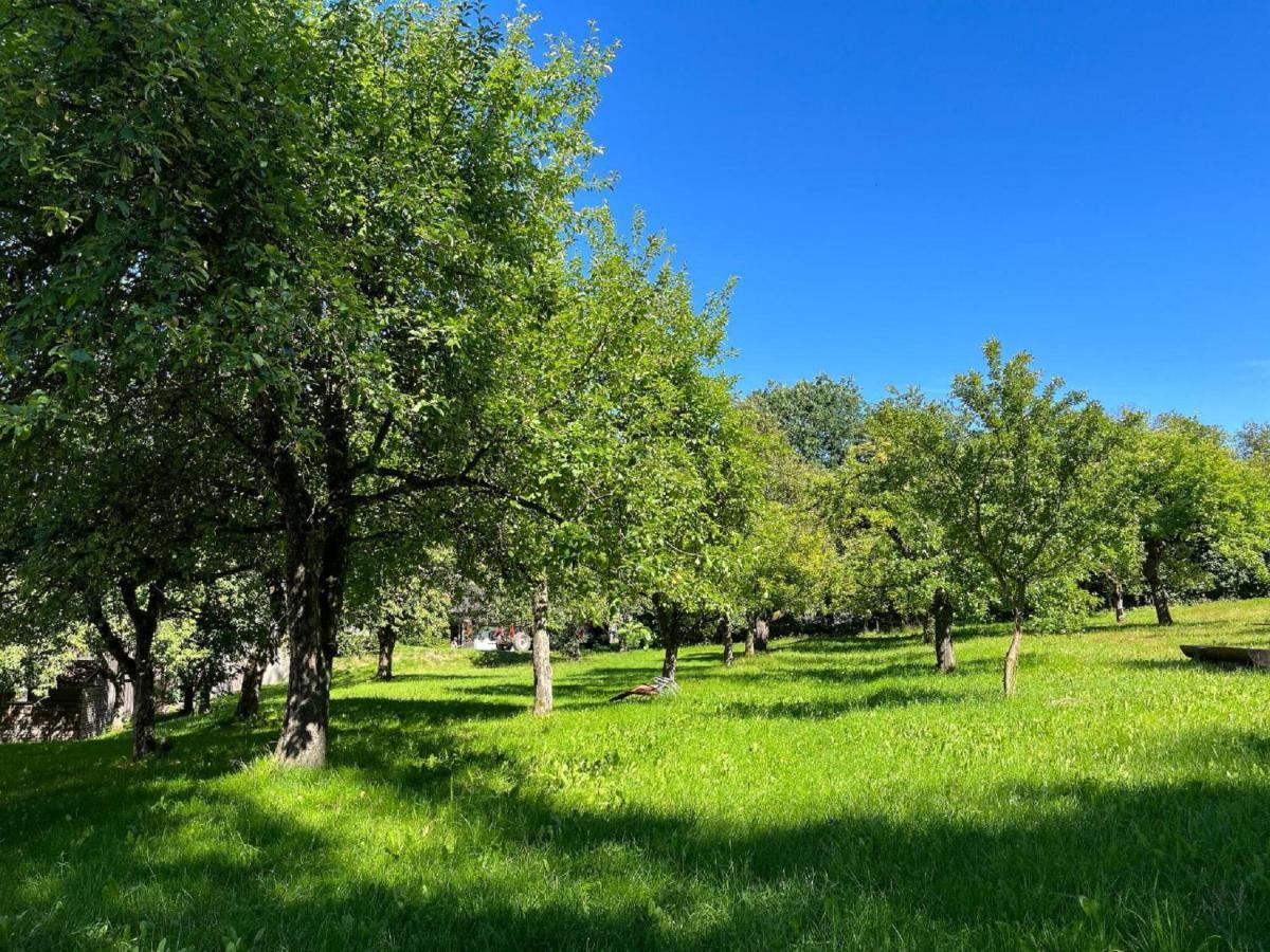 Landgasthof Blasini - Pfahlhof Zandt Kültér fotó